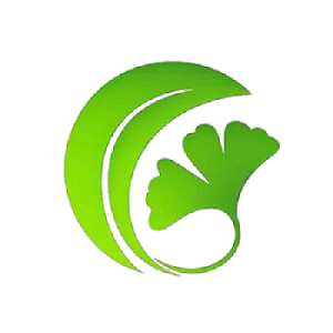 白果AI论文 - 万字初稿一键生成 低查重高质量工具